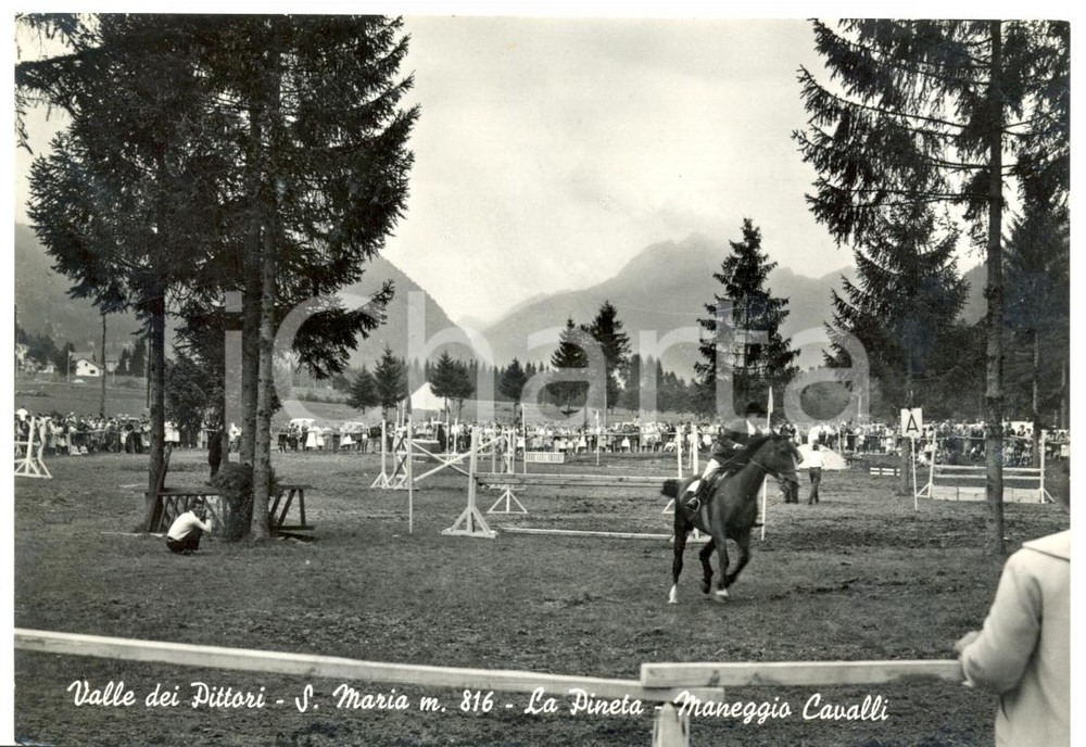 Cartolina originale da collezione 1950 ca SANTA MARIA MAGGIORE VB Maneggio VALLE DEI PITTORI FG VG ANIMATA 1