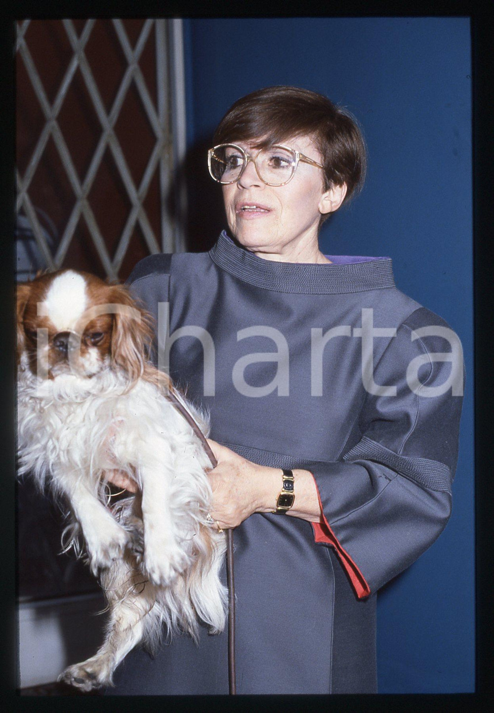 35mm vintage slide* 1995ca SPETTACOLO Franca VALERI Ritratto con cane (9)