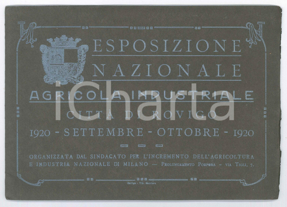 Libro, pubblicazione d epoca 1920 ROVIGO Esposizione Nazionale Agricola Industriale  Pubblicazione 21 pp. 1