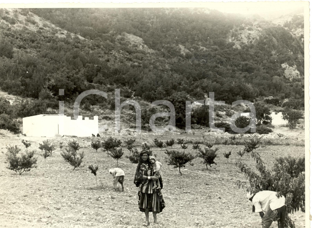Fotografia d epoca originale 1939 Villaggio AL FAGER/ ALBA LIBIA Casa colonica  COLONIZZAZIONE MUSULMANA 1