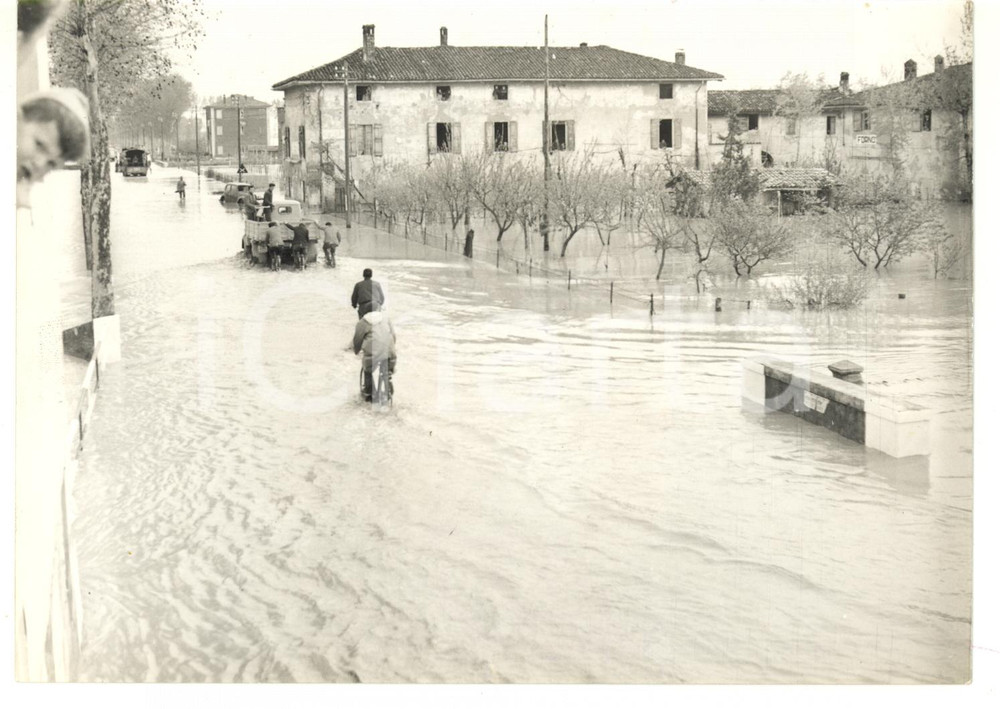 1957 ALLUVIONE POLESINE Abitanti in bicicletta per le strade allagate *Foto 