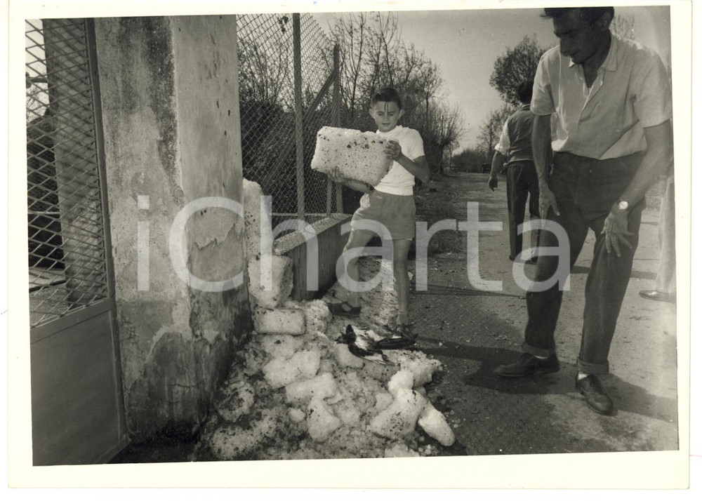 1957 GRANDINATA A LEINI (TO) Bambino regge un blocco di ghiaccio *Foto 18x13 cm