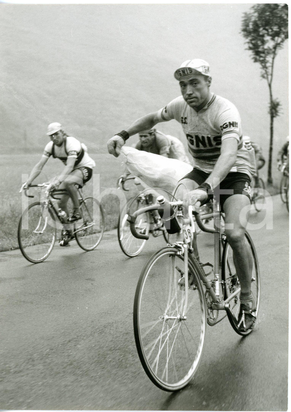 1957 CICLISMO 40°Giro d'Italia 16^ tappa - Miguel POBLET si ripara dalla pioggia