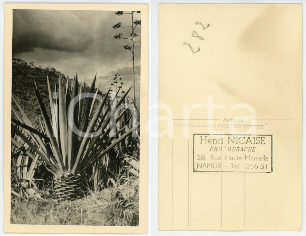 1930 ca C. ZAGOURSKI «L'Afrique qui disparaît» OUGANDA - Bisail *Postcard 138  Fotocartolina postale d'epoca, appartenente alla 2a serie &laquo;L'Afrique qui dispara&icirc;t&raquo; del fotografo Casimir Zagourski (L&eacute;opoldville).N&deg; 138, non viaggiata.CONDIZIONI: G FORMATO: 9x14 cm    originale e autentica 1