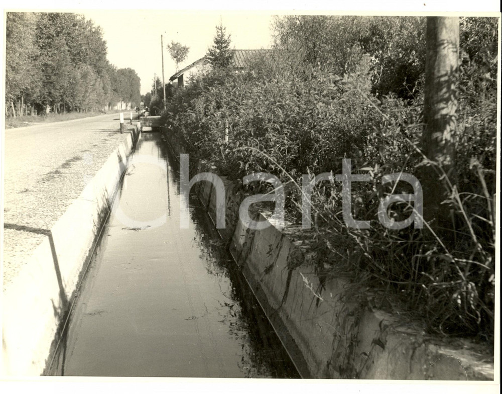 Fotografia d epoca originale 1950 ca SUARDI Campagna e canale nei pressi della cascina SAN MICHELE Foto 1