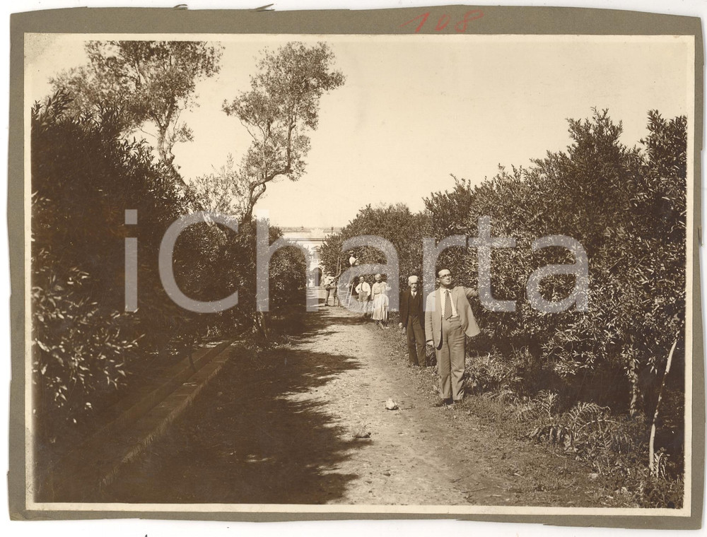 Fotografia d'epoca originale 1930 circa PALERMO Il mandarineto dei Fratelli CURRENTI 1