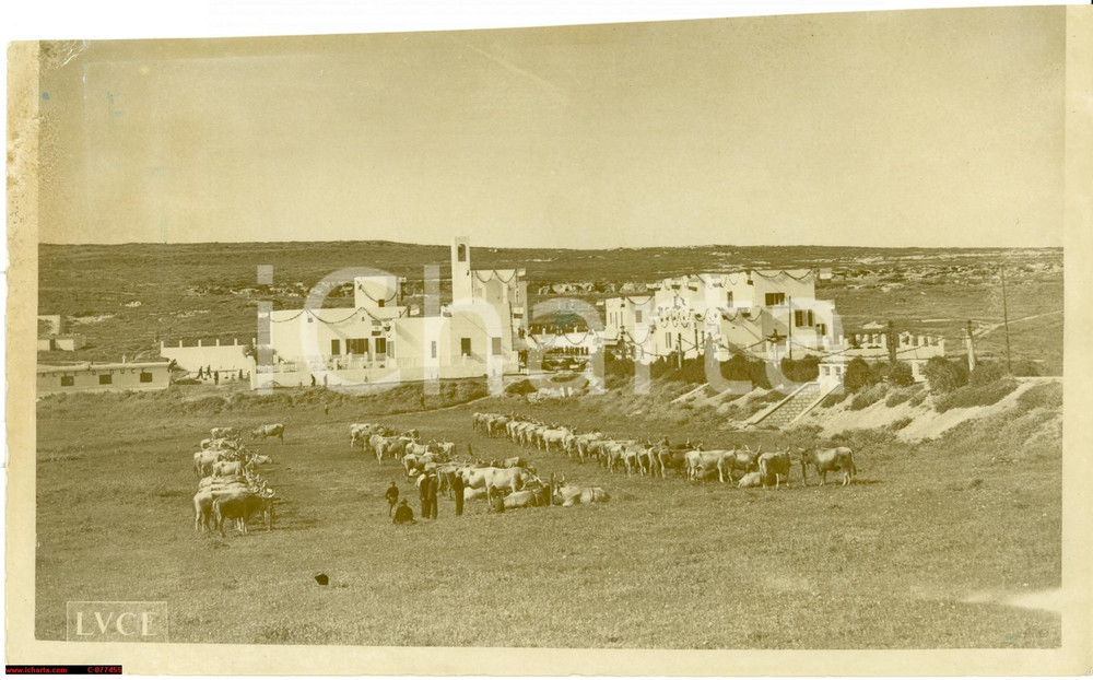 Fotografia d epoca originale 1935 circa, Africa? Colonia Agricola Duilio Guardabassi 1