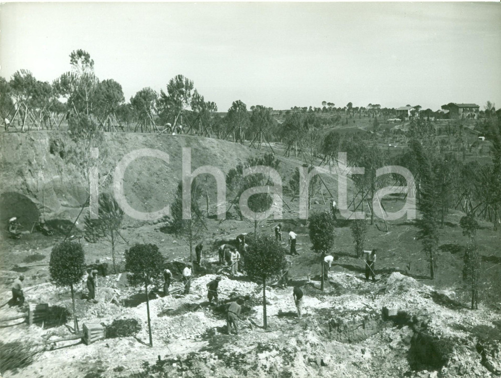 Fotografia d epoca originale 1939 ROMA EUR Operai piantano alberi e vivai per ESPOSIZIONE E42 Fotografia 1
