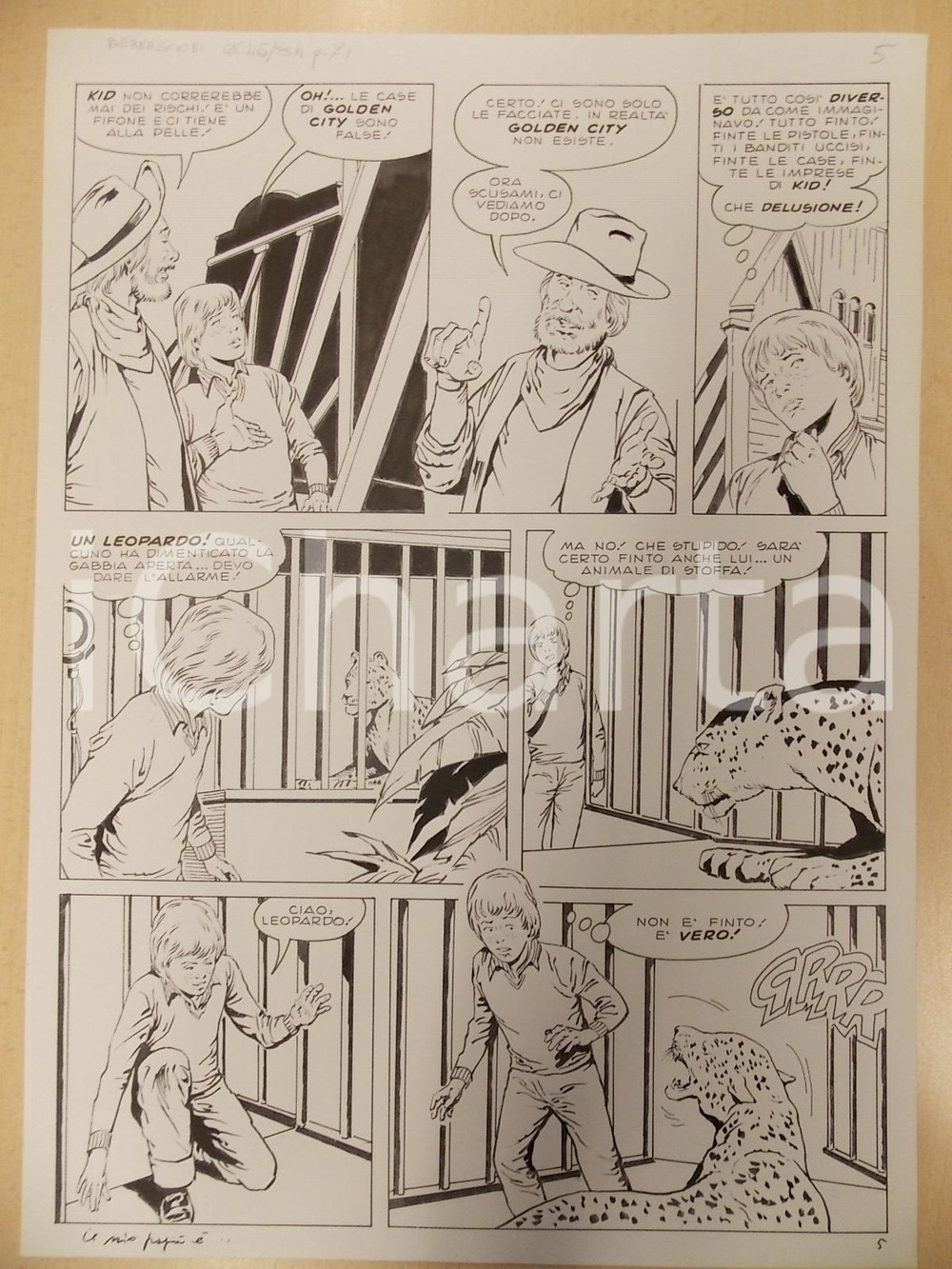 1970 ca IL MIO PAPÀ È... Luciano BERNASCONI Leopardo in gabbia *Tavola originale