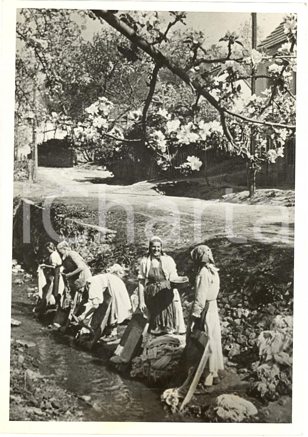 Fotografia d'epoca originale 1944 VENEZIA Le lavandaie al lavoro in primavera PHOTO 1