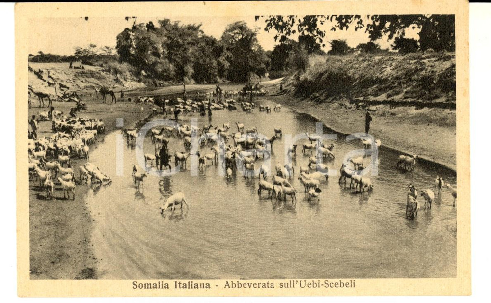 Cartolina originale da collezione 1940 ca AOI SOMALIA ITALIANA Abbeverata sull'UEBI SCEBELI *Cartolina FP NV 1