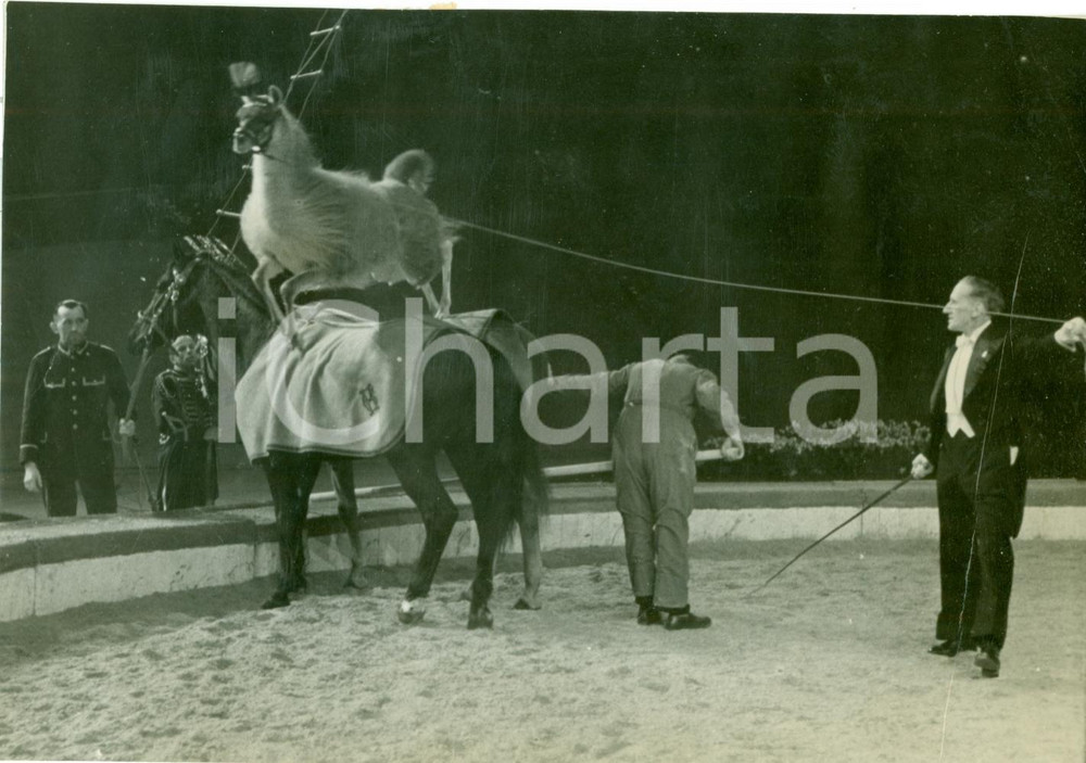 Fotografia d epoca originale 1940 BERLIN Zirkusschau Performance lama selvaggio alla DEUTSCHLANDHALLE Foto 1