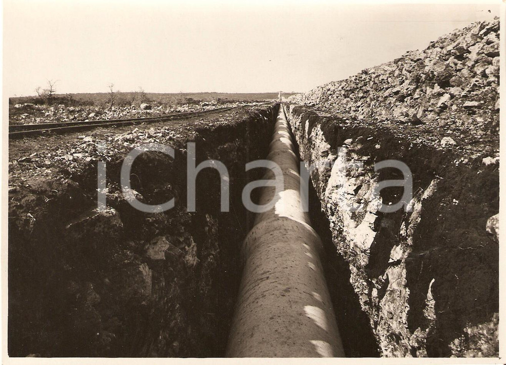 Fotografia d epoca originale 1939 SALICE SALENTINO LE Condotta SAN PAOLO a Zanzara 1