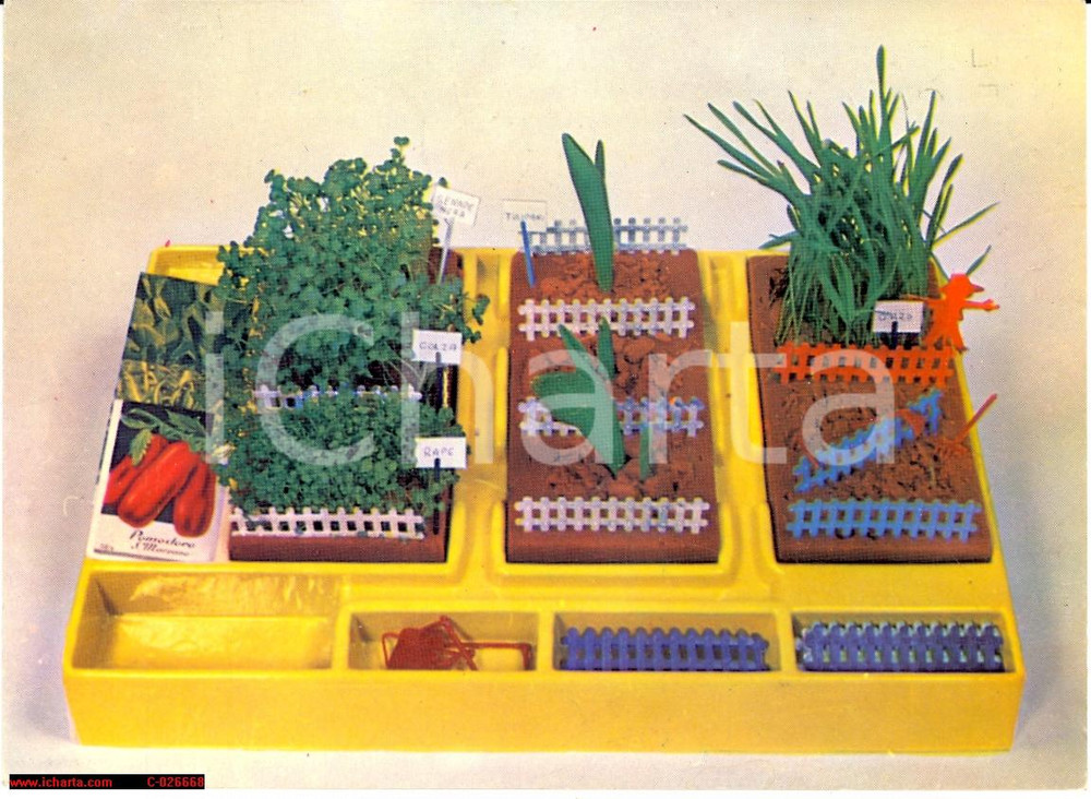 Cartolina originale da collezione 1965 circa Giochi CLEMENTONI Campo di fiori FG NV 1