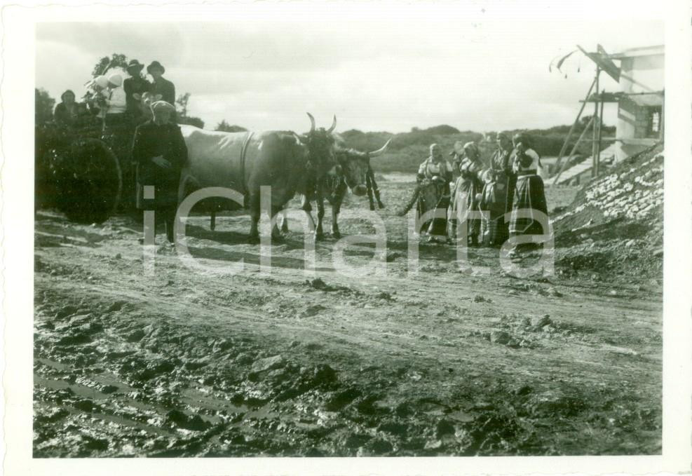 Fotografia d epoca originale 1934 BEDA LITTORIA LIBIA Carro con primizie per arrivo Italo BALBO Fotografia 1