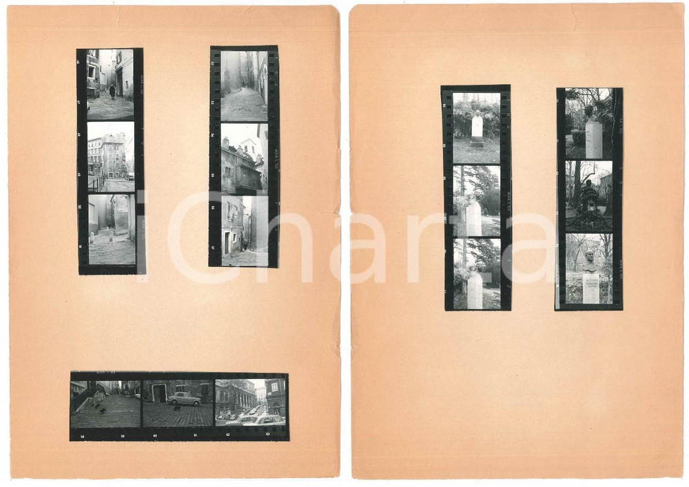 Fotografia d epoca originale 1963 TRIESTE Busto di Italo SVEVO e i gatti della cittÃ   15 provini 4x3 cm 1