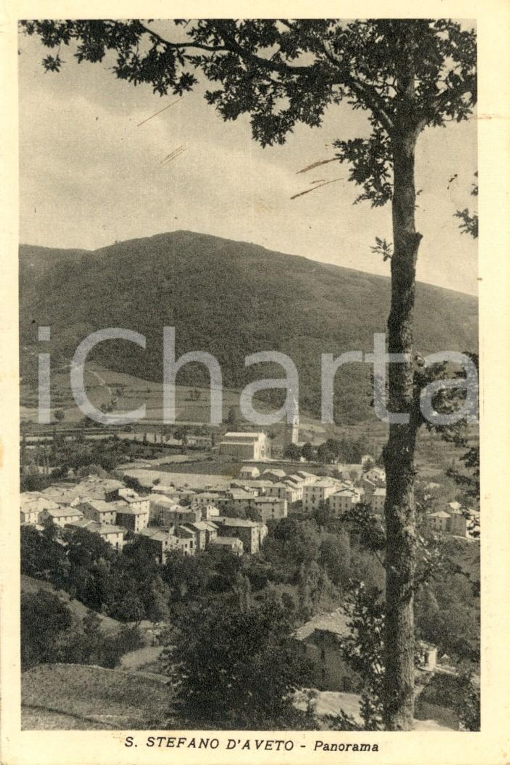 Cartolina originale da collezione 1936 SANTO STEFANO D'AVETO (GE) Veduta panoramica del paese *Cartolina FP VG 1