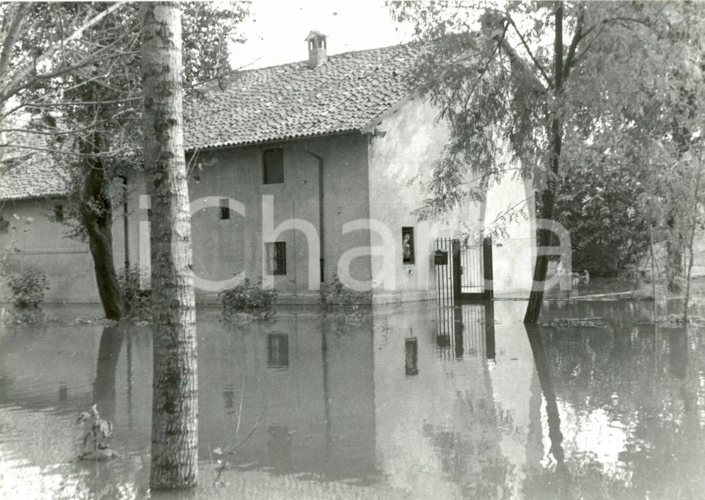 Fotografia d'epoca originale 1994 BEREGUARDO (PV) Alluvione TICINO - Cascina rimasta isolata *Fotografia 1