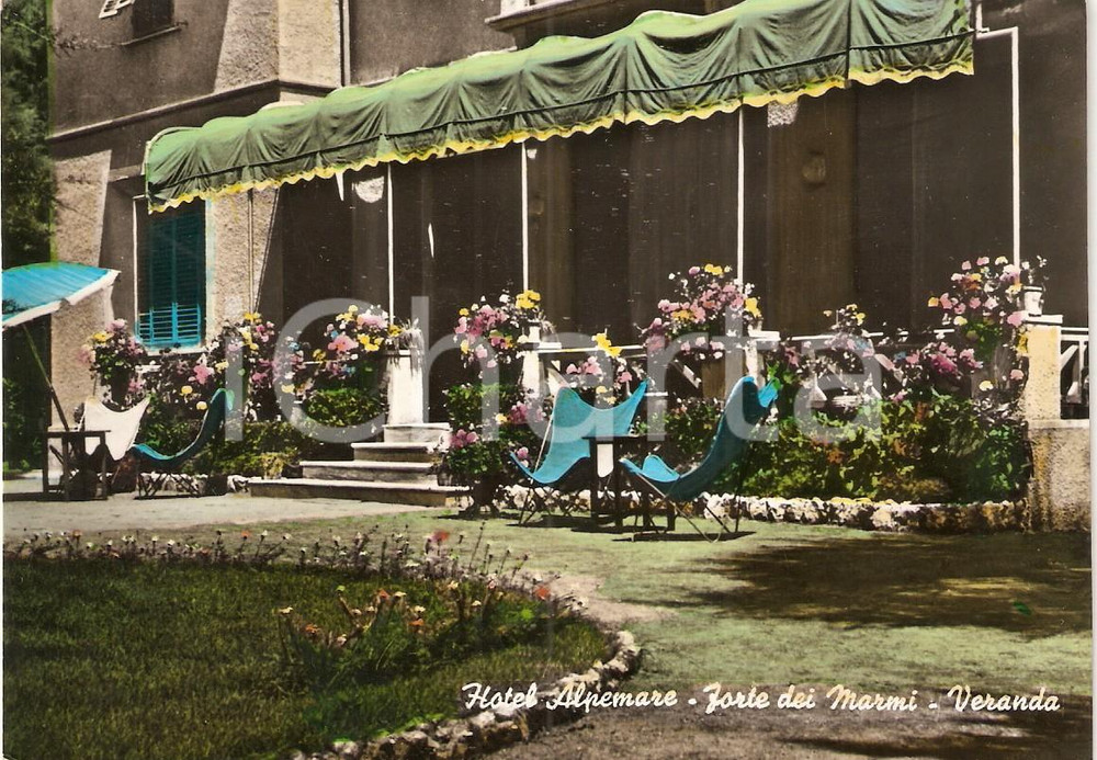 Cartolina originale da collezione 1958 FORTE DEI MARMI (LU) Veranda Hotel ALPEMARE *Cartolina VINTAGE FG VG 1