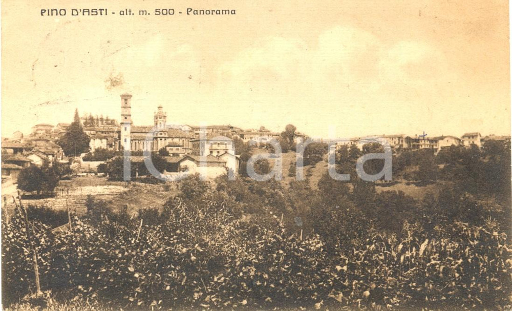Cartolina originale da collezione 1947 PINO D'ASTI (AT) Veduta panoramica - Foto BUSTO *Cartolina FP VG 1
