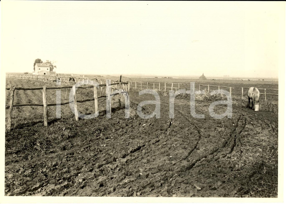 Fotografia d'epoca originale 1925 circa AGRO ROMANO ViabilitÃ  prima della bonifica 1