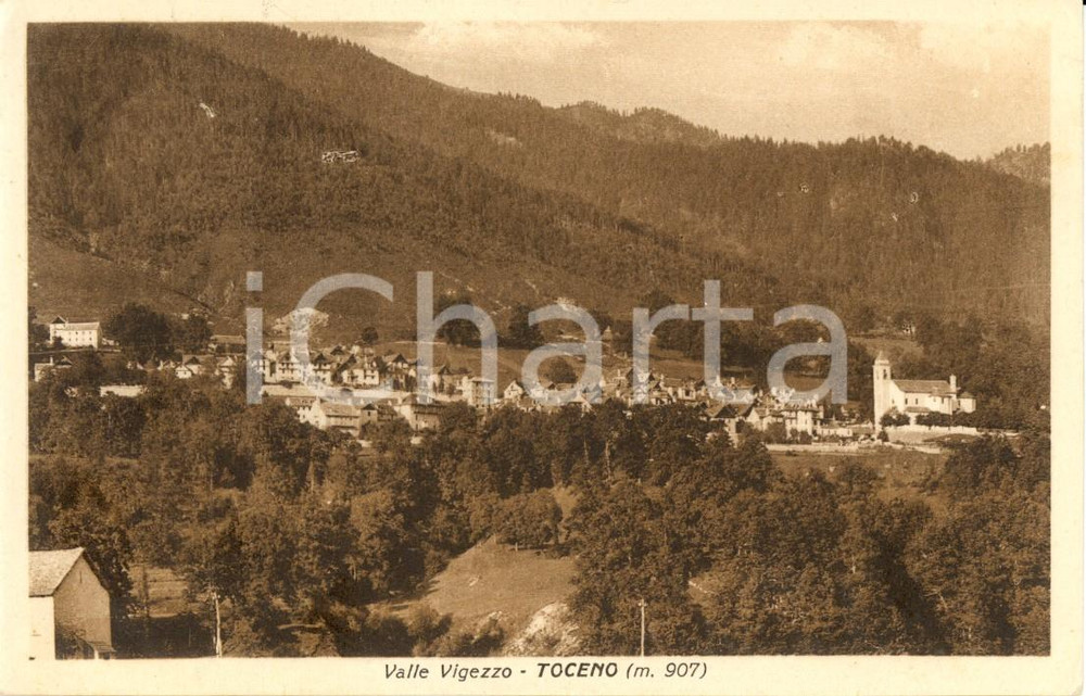 Cartolina originale da collezione 1930 ca TOCENO (VB) VALLE VIGEZZO Veduta vallata e borgo *Cartolina FP VG 1