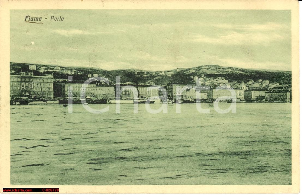 Cartolina originale da collezione 1917 FIUME (ISTRIA) Il porto visto dal mare *Cartolina FP VG 1