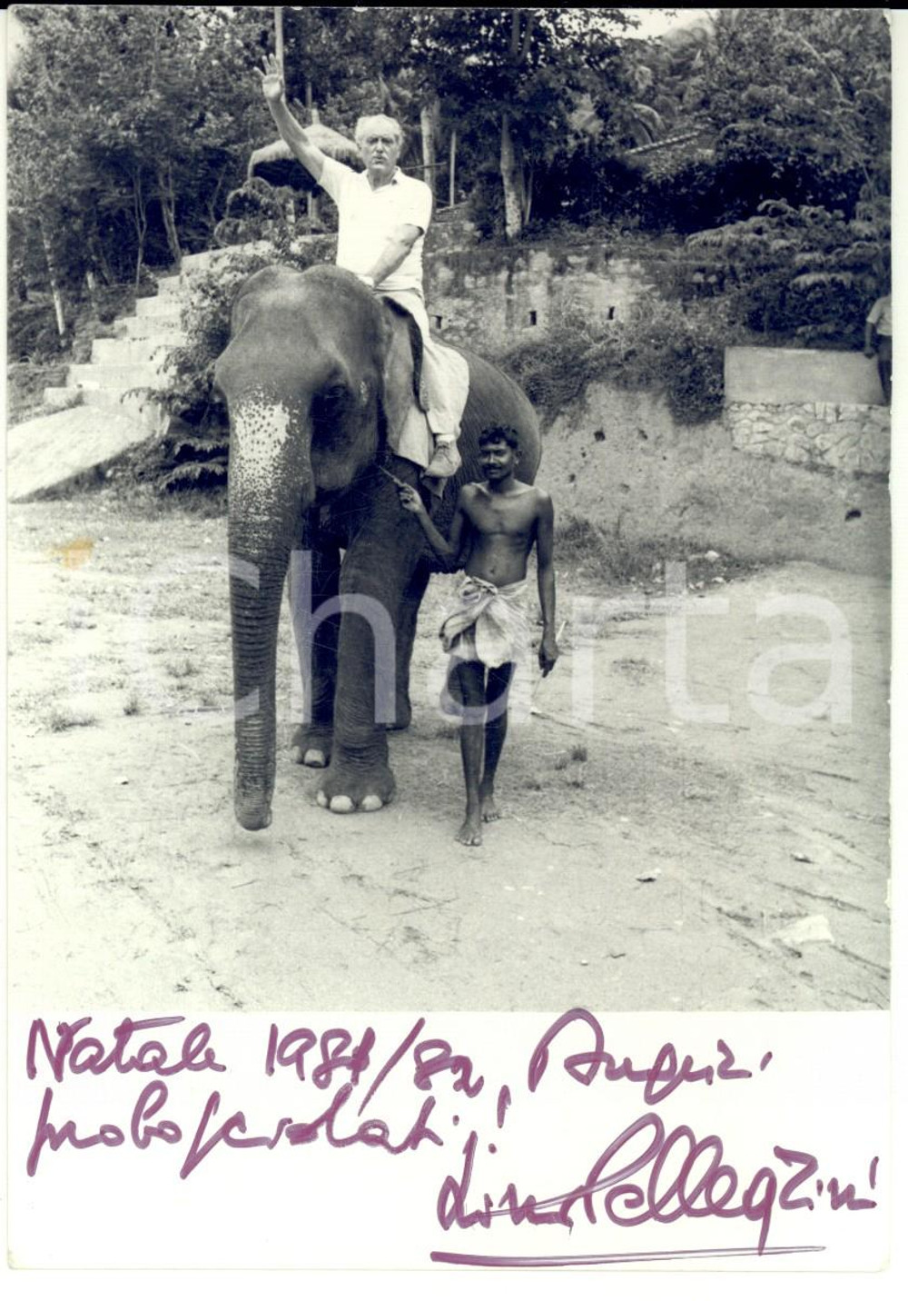 Fotografia d'epoca originale 1981 INDIA Lino PELLEGRINI invia auguri proboscidati *Foto con AUTOGRAFO 1