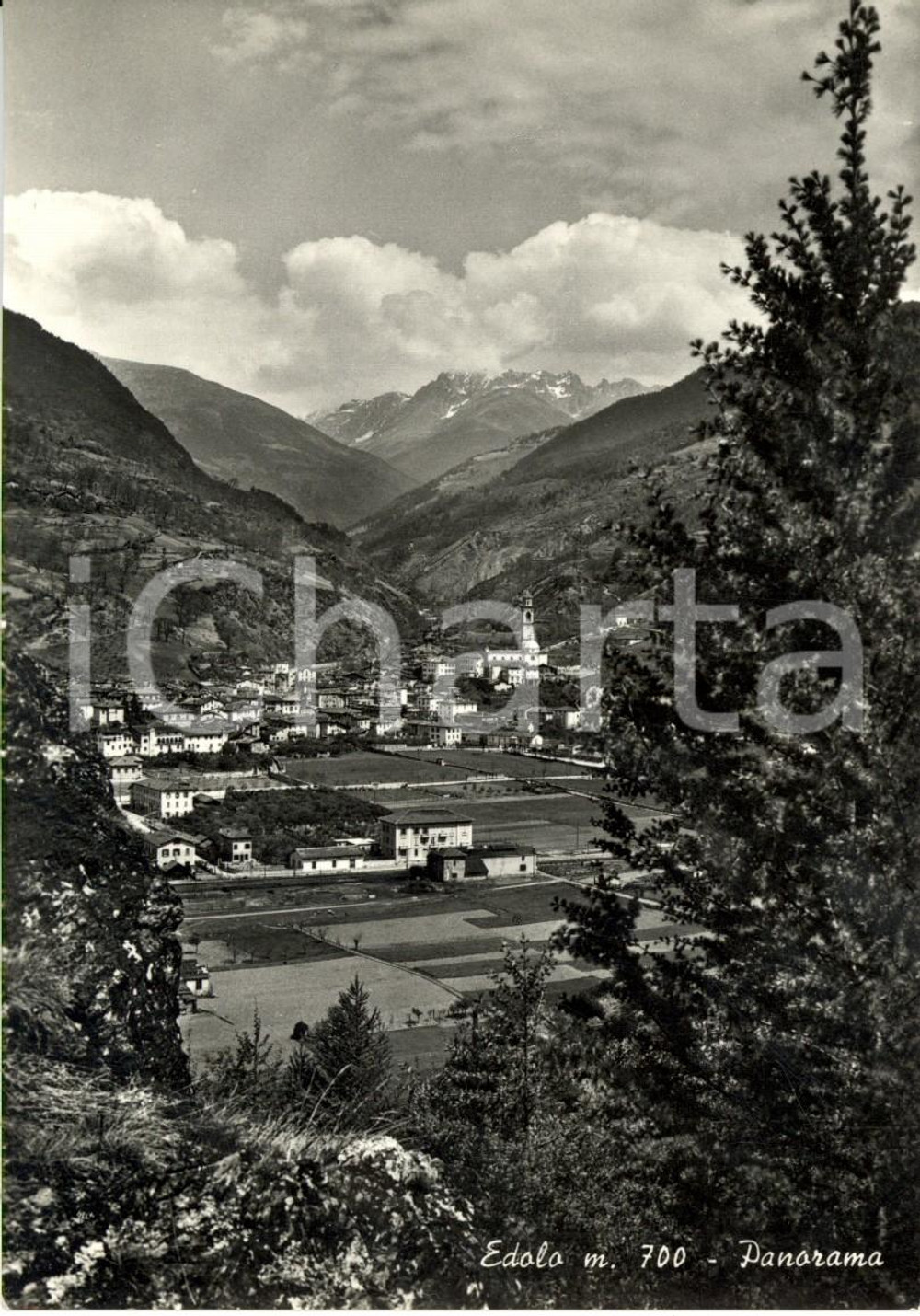 Cartolina originale da collezione 1950 ca EDOLO (BS) Veduta panoramica paese e vallata *Cartolina postale FG NV 1
