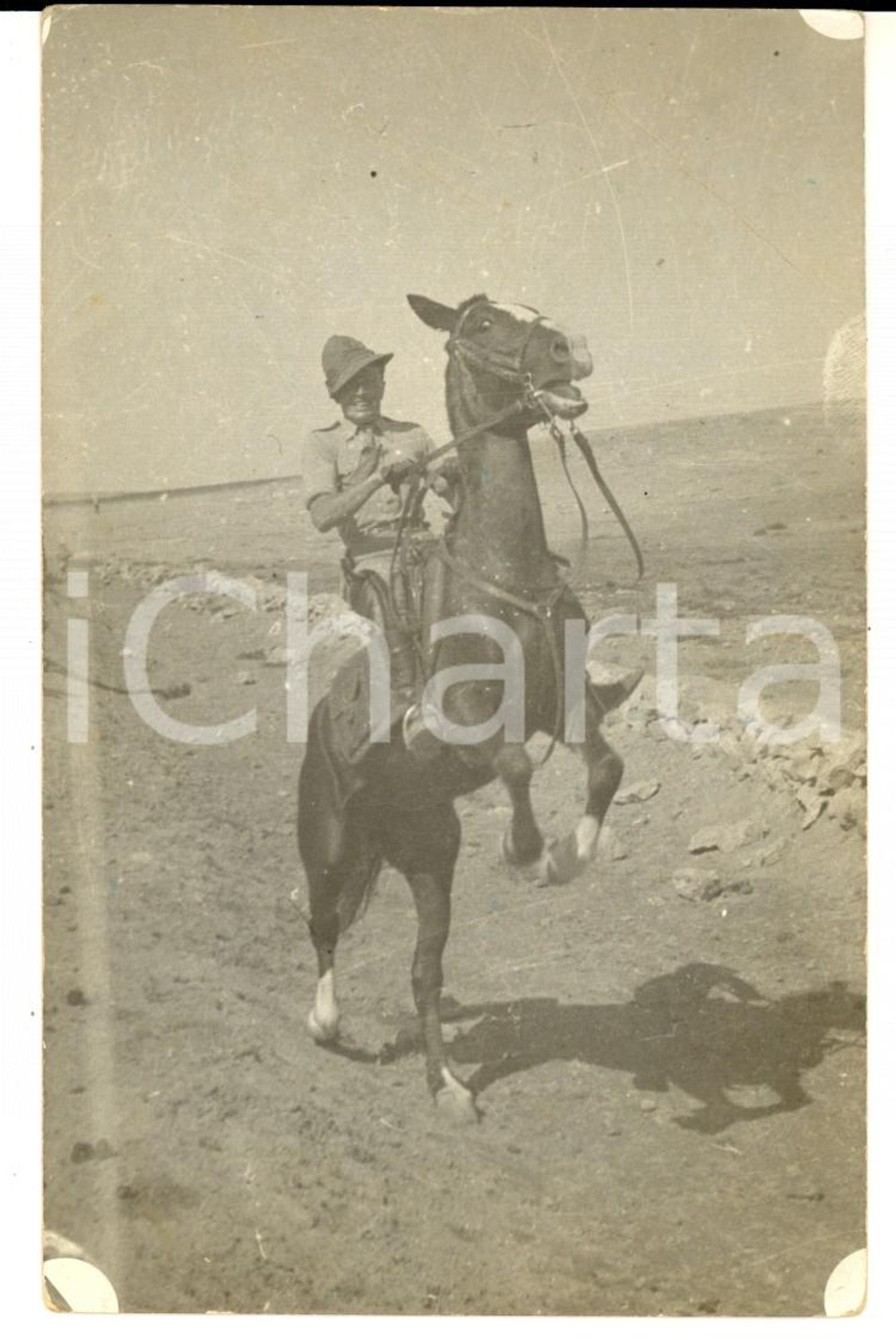 Fotografia d'epoca originale 1936 AOI TEMBIN Militare coloniale imita TOM MIX a dorso d'asino *Foto CURIOSA 1