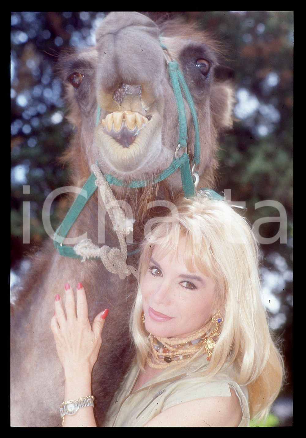 35mm vintage slide* 1990ca COSTUME Maria Giovanna ELMI Ritratto con cammello