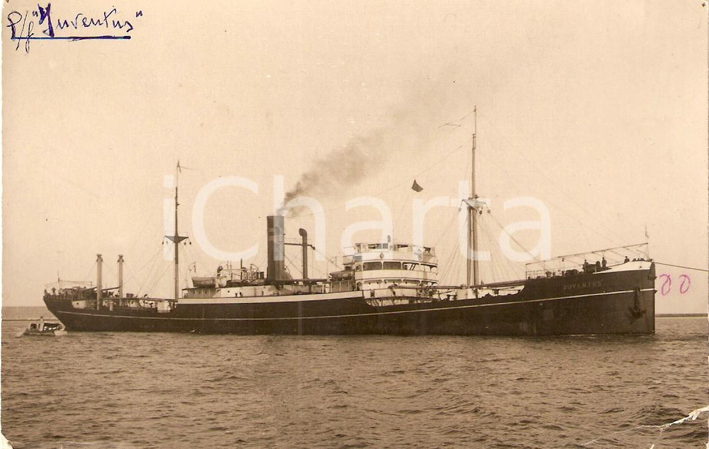 Cartolina originale da collezione 1930 ca MARINA MERCANTILE Piroscafo JUVENTUS Cartolina FP NV 1