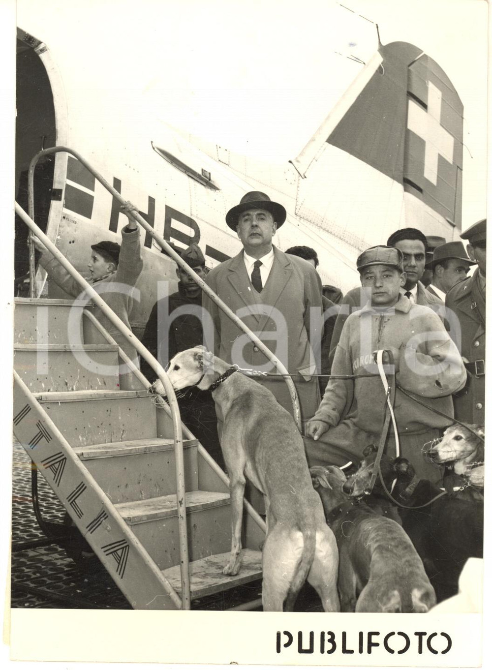 1958 NAPOLI Partenza di levrieri su SWISSAIR per casa di riposo canina - Foto