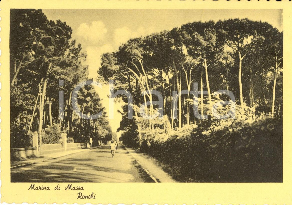 Cartolina originale da collezione 1950 ca MARINA DI MASSA (MS) Veduta localitÃ  balneare RONCHI *ANIMATA FG NV 1