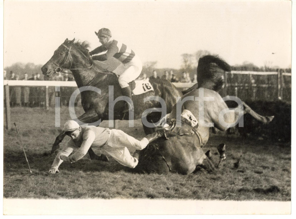 1958 KEMPTON PARK Kew Selling Hurdle Race - John GILBERT falling off EMU *Photo Fotografia d'epoca, con didascalia coeva al verso. CONDIZIONI: FAIR (alone diffuso; ma piccole piegature sparse)FORMATO: 20x15 cm    originale e autentica 1