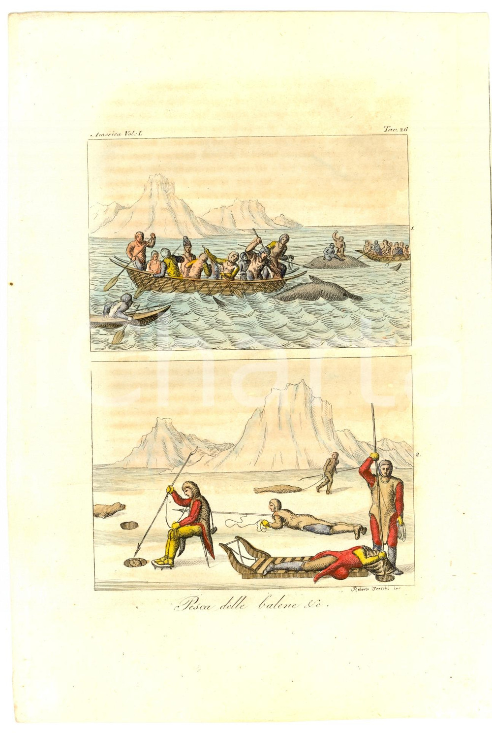 Stampa, bozzetto originale 1830 AMERICA Pesca delle balene Incisione Roberto FRESCHI 1