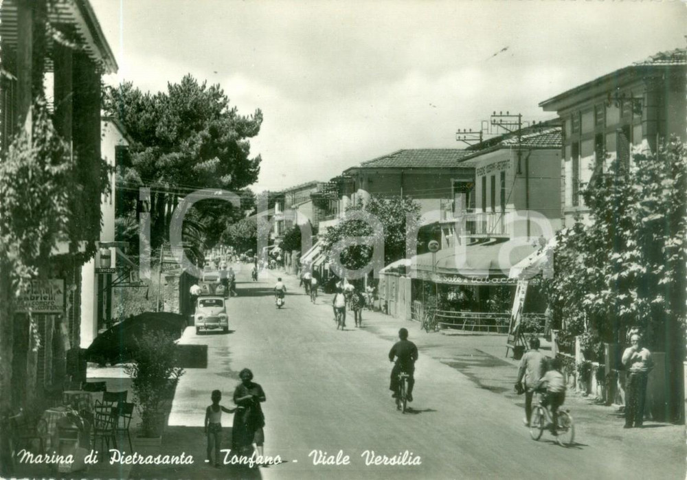 Cartolina originale da collezione 1956 MARINA DI PIETRASANTA LU Viale Versilia a TONFANO Cartolina FG VG 1