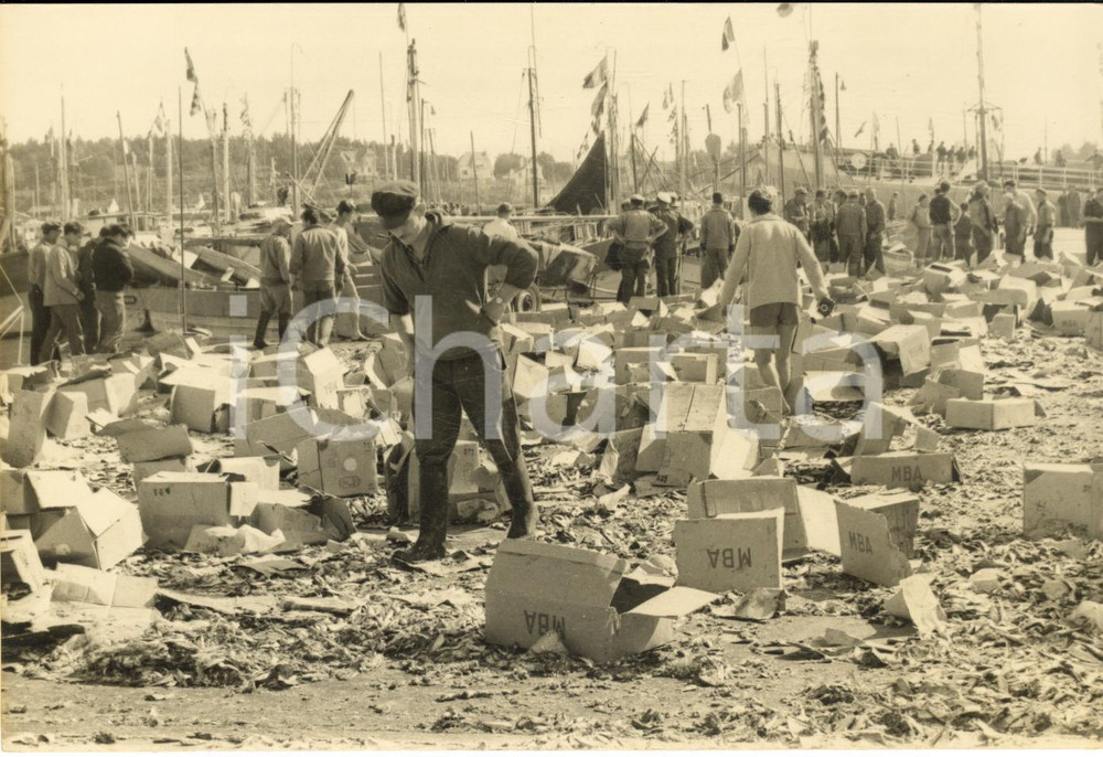 1962 LA-TRINITE'-SUR-MER Guerre pêcheurs bretons aux sardines du Maroc *Photo