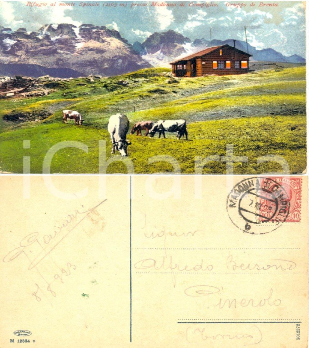 Autografo originale 1923 MADONNA DI CAMPIGLIO Pittore Giuseppe GAVUZZI  Autografo 1