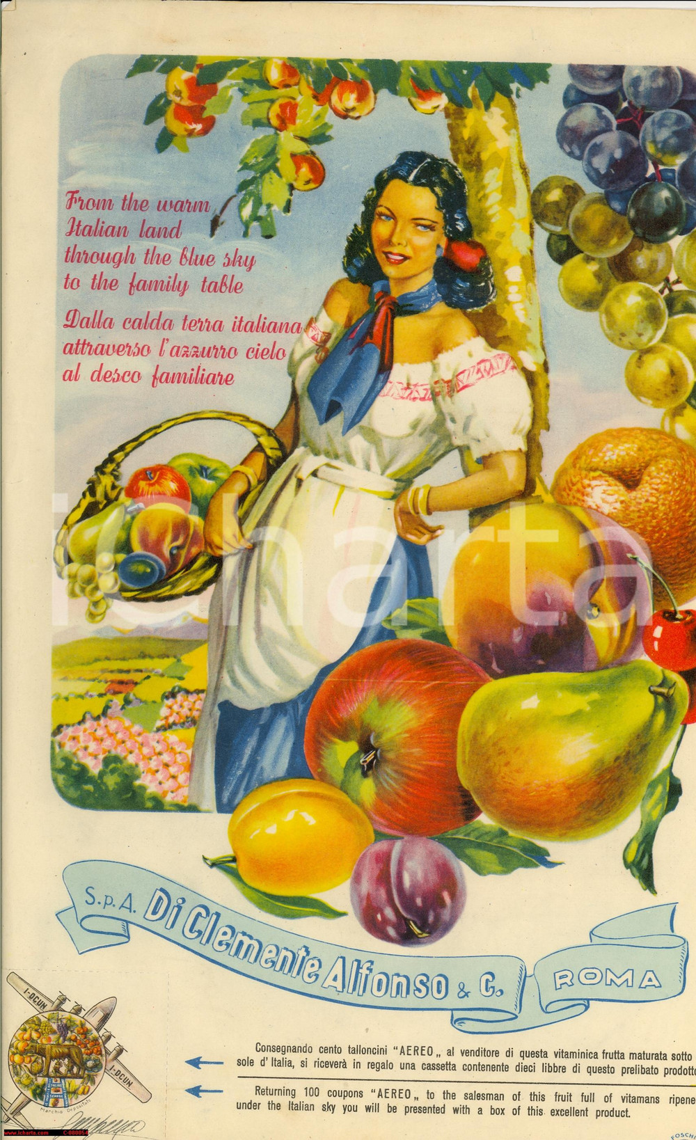 Materiale pubblicitario d’epoca 1950 ROMA Manifesto pubblicitario DI CLEMENTE ALFONSO frutta 1