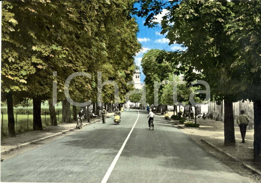 Cartolina originale da collezione 1961 GRAGNANO TREBBIENSE (PC) Viale alberato con VESPA *Cartolina ANIMATA FG VG 1
