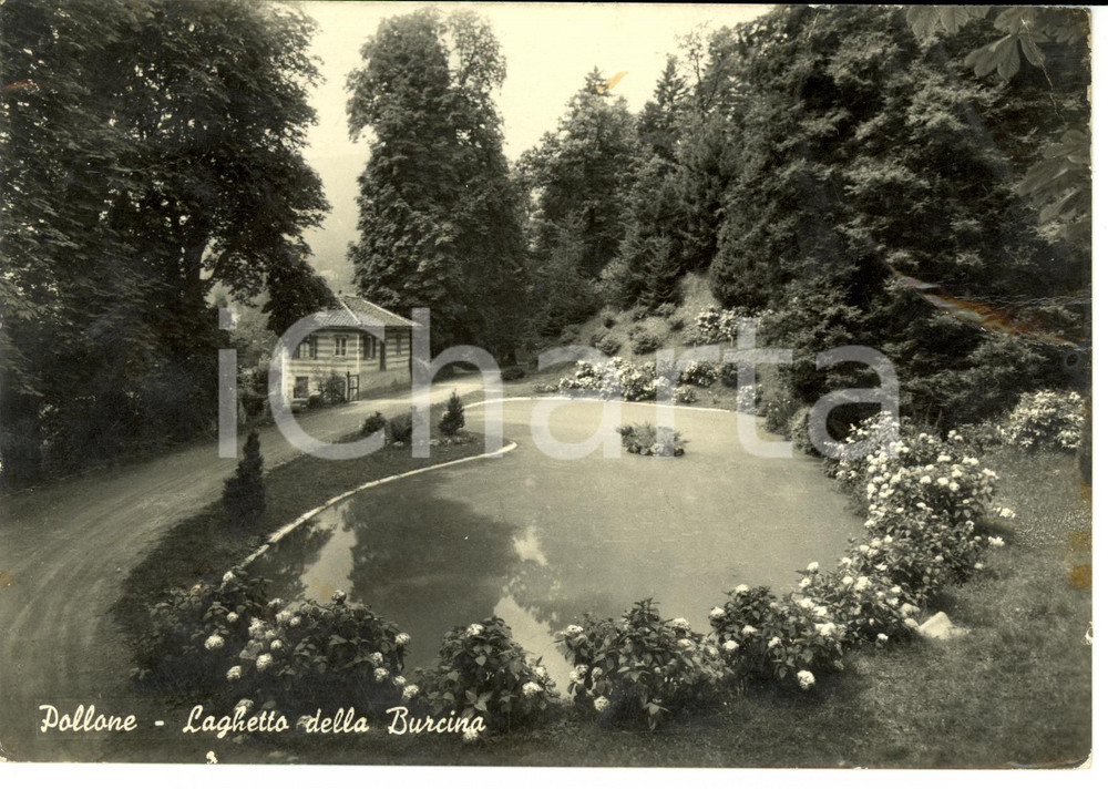 Cartolina originale da collezione 1960 POLLONE BI Veduta del laghetto della BURCINA Cartolina FG VG 1