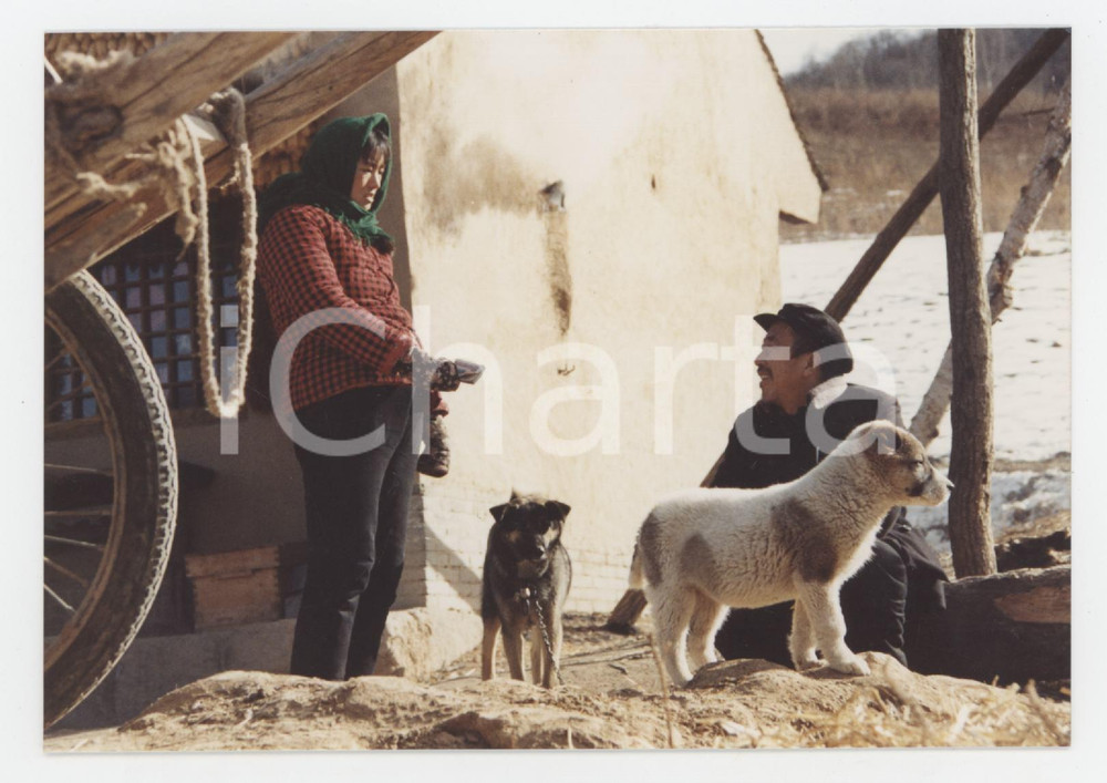 Materiale cinematografico d’epoca 1992 CINEMA Qiu Ju da guan si  Gong LI Peiqi LIU Movie by Zhang YIMOU Photo 1