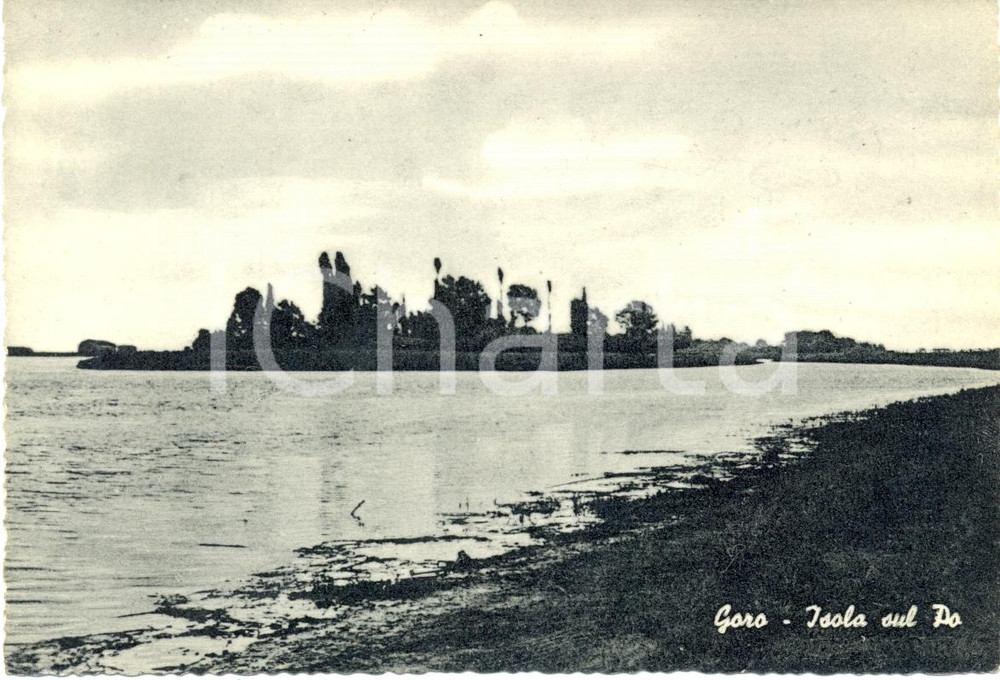 Cartolina originale da collezione 1950 ca GORO (FE) Veduta isola alle foci del PO *Cartolina FG NV elio brillante 1