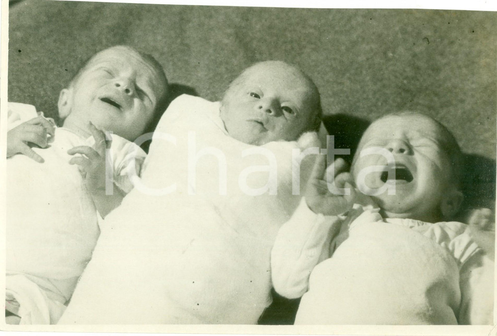 Fotografia d epoca originale 1937 MILANO Neonati in fasce nel Giorno della MaternitÃ  e Infanzia Fotografia 1