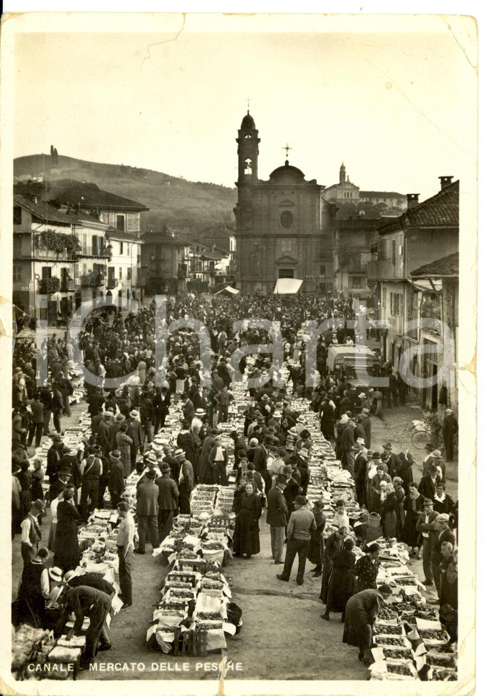 Cartolina originale da collezione 1950 ca CANALE (CN) Mercato delle Pesche *Cartolina DANNEGGIATA FG NV 1