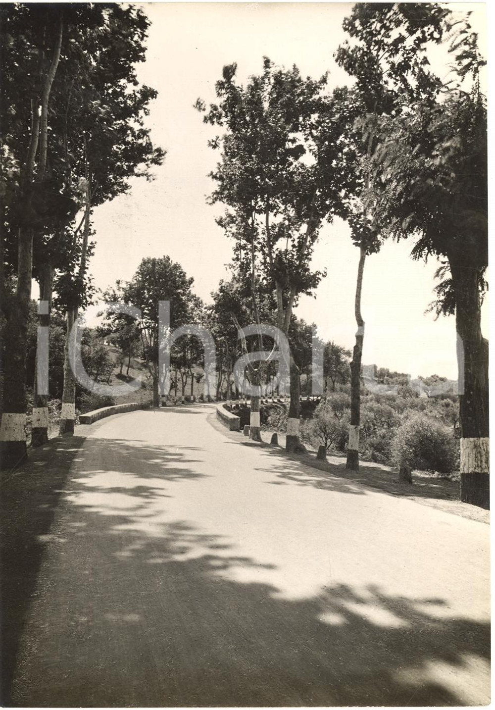 Fotografia d'epoca originale 1935 VITERBO Via CASSIA Tratto Roma-MONTEFIASCONE 1
