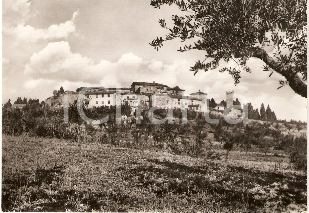 Cartolina originale da collezione 1958 CARMIGNANO PO Frazione ARTIMINO Veduta panoramica Cartolina FG NV 1