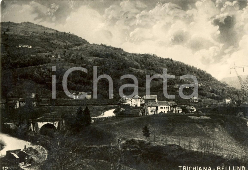 Cartolina originale da collezione 1955 ca TRICHIANA (BL) SAN ANTONIO TORNAL e ponte delle donne di CAMPEDEI *FG VG 1
