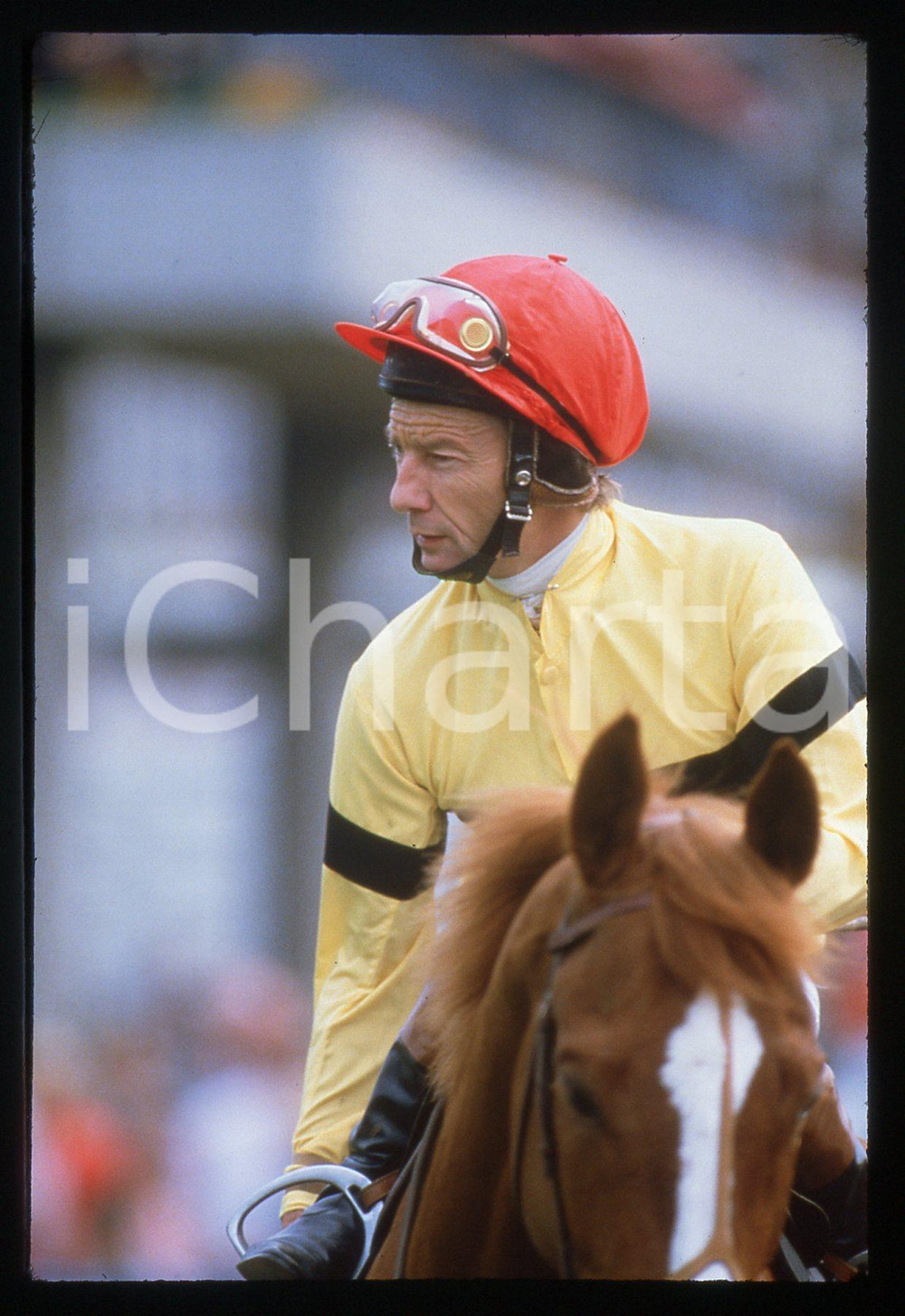 Fotografia d epoca originale 35mm vintage slide 1980 ca YORK UK Lester PIGGOTT Jockey s Portrait 1